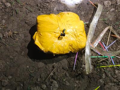 ਅੰਮ੍ਰਿਤਸਰ ਵਿੱਚ ਡਰੋਨ ਰਾਹੀਂ ਭੇਜੀ 12 ਕਿਲੋਗ੍ਰਾਮ ਹੈਰੋਇਨ ਦੀ ਖੇਪ ਬਰਾਮਦ