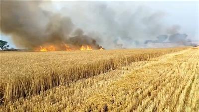 ਅੱਗ ਲੱਗਣ ਕਾਰਨ ਕਰੀਬ 7 ਏਕੜ ਵਿੱਚ ਖੜੀ ਕਣਕ ਦੀ ਫਸਲ ਸੜੀ ਪੀੜਤ ਕਿਸਾਨ ਵੱਲੋਂ ਮੁਆਵਜ਼ੇ ਦੀ ਮੰਗ 